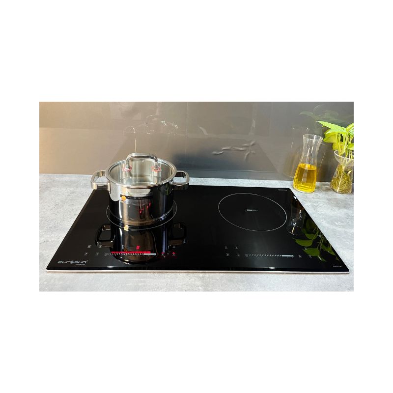 Ảnh thực tế bếp từ đôi Eurosun EU-T756 lắp âm Ảnh thực tế bếp từ đôi Eurosun EU-T756 lắp âm
