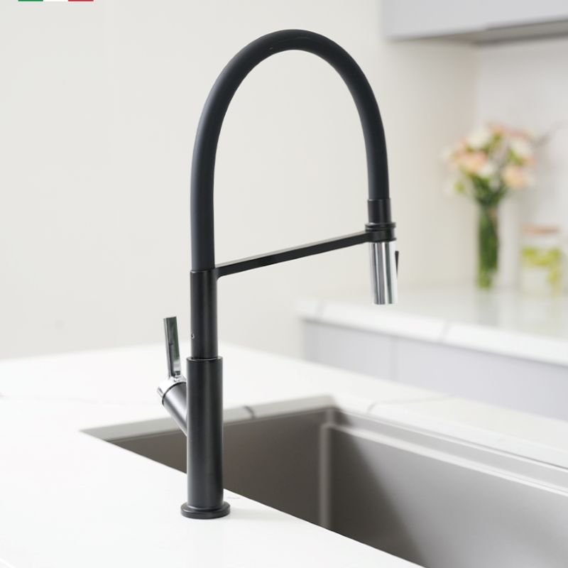 Hình ảnh thực tế vòi rửa bát thân mềm Tema Black Hình ảnh thực tế vòi rửa bát thân mềm Tema Black