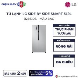 Tủ Lạnh 2 cánh side by side Inverter 519 Lít LG GR-B256JDS