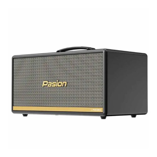 Ảnh Loa Di Động Xách Tay Paramax PASION 2c (Màu Xám)