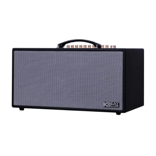 Ảnh Loa Karaoke Xách Tay Acnos CS450SR
