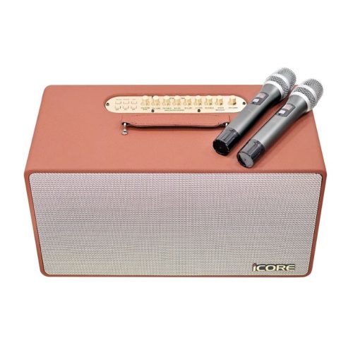 Ảnh Loa Karaoke Xách Tay Icore S8