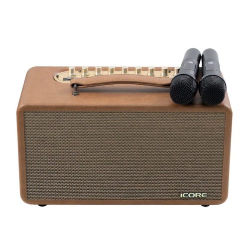 Ảnh Loa Karaoke Xách Tay Kèm 02 Micro Icore P8