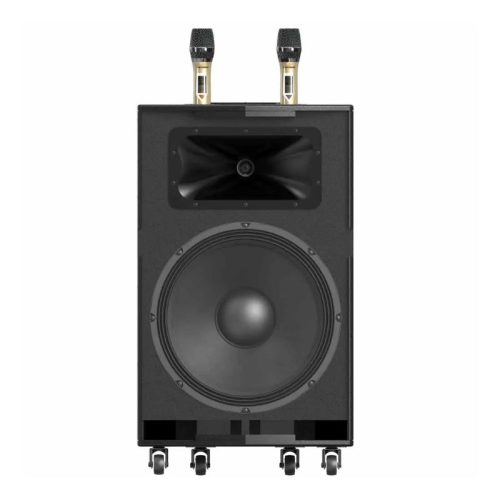 Ảnh Loa Kéo Paramax Dansing HK-396