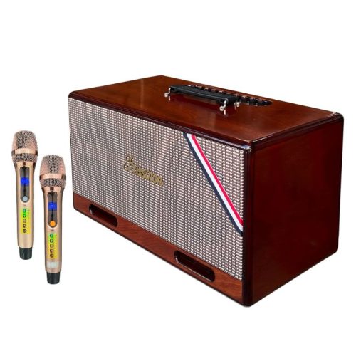 Ảnh Loa Xách Tay Bossinon N2261K