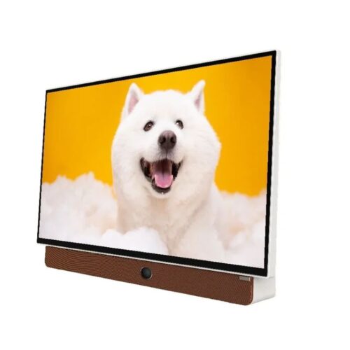 Ảnh Tivi Google Xách Tay Di Động Full HD 24 Inch Coocaa 24LP6000G (Tay Cầm Da)