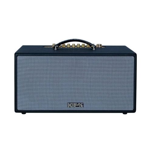 Dàn Âm Thanh Di Động Acnos CS445D