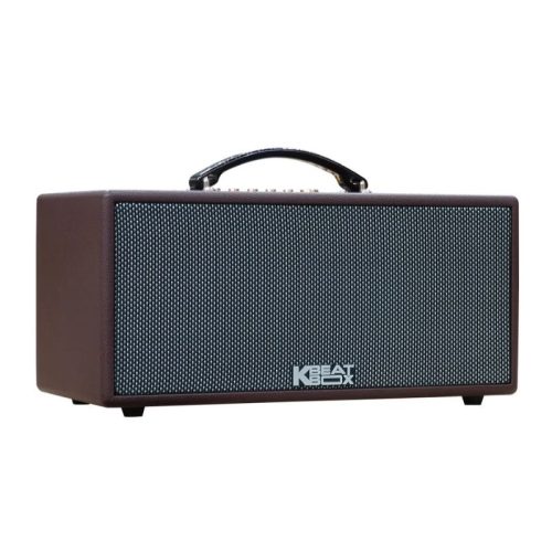 Dàn Âm Thanh Di Động Acnos KS363H