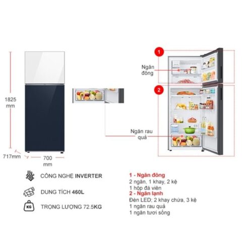Kích thước tủ Lạnh 2 cánh Bespoke Inverter 460 Lít Samsung RT47CB66868ASV