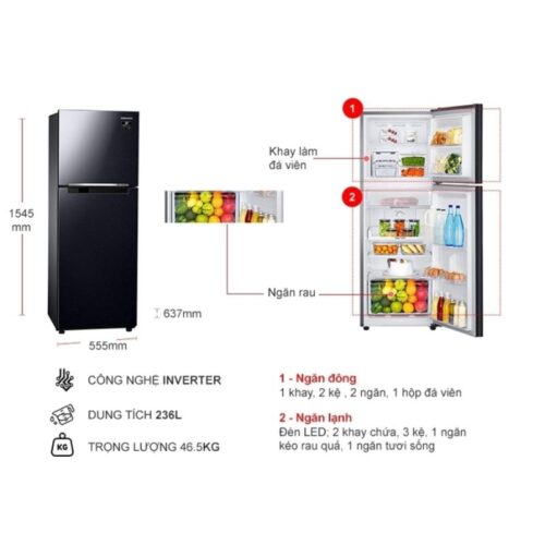 Kích thước tủ Lạnh 2 cánh Inverter 236 Lít Samsung TMF-RT22M4032BU