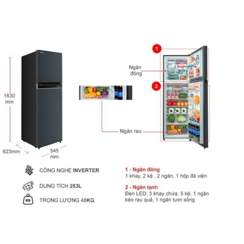 Kích thước tủ Lạnh 2 cánh Inverter 253 Lít Toshiba GR-RT329WE-PMV(52)