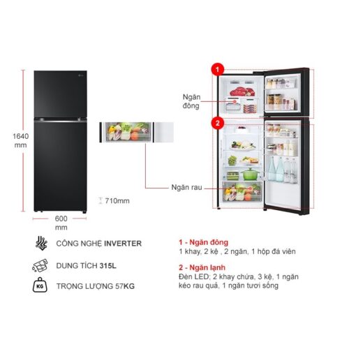Kích thước tủ Lạnh 2 cánh Inverter 315 Lít LG LTB31BLM