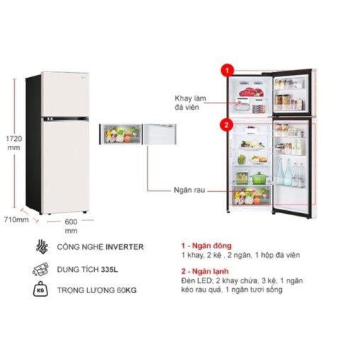 Kích thước tủ Lạnh 2 cánh Inverter 335 Lít LG GN-B332BG