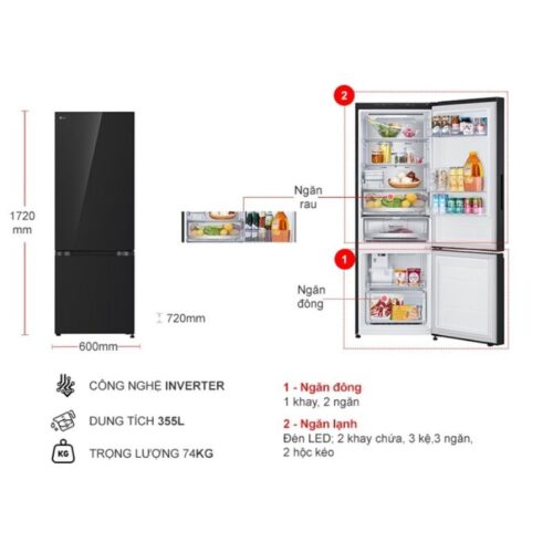 Kích thước tủ Lạnh 2 cánh Inverter 335 Lít LG LBB33BLGA