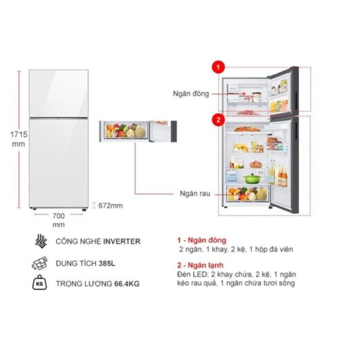 Kích thước tủ Lạnh 2 cánh Inverter 385 lít Bespoke Samsung RT38CB668412SV