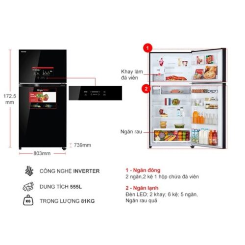 Kích thước tủ Lạnh 2 cánh Inverter 555 Lít Toshiba GR-AG58VA (XK)
