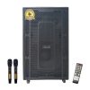 Loa Karaoke Di Động Microtek F-800A