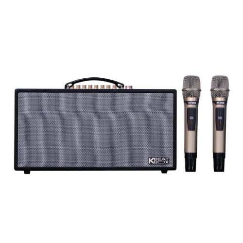 Loa Karaoke Xách Tay Acnos CS450SR