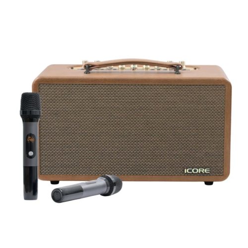 Loa Karaoke Xách Tay Kèm 02 Micro Icore P8