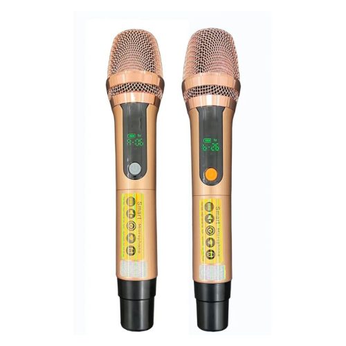 Micro Loa Xách Tay Bossinon N3383K