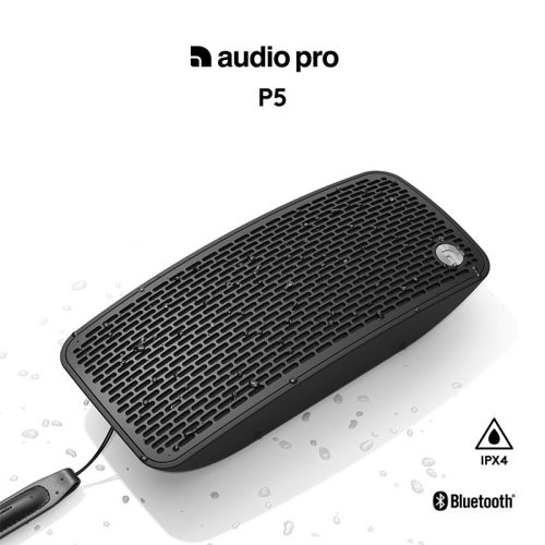 Ảnh loa Audio Pro P5