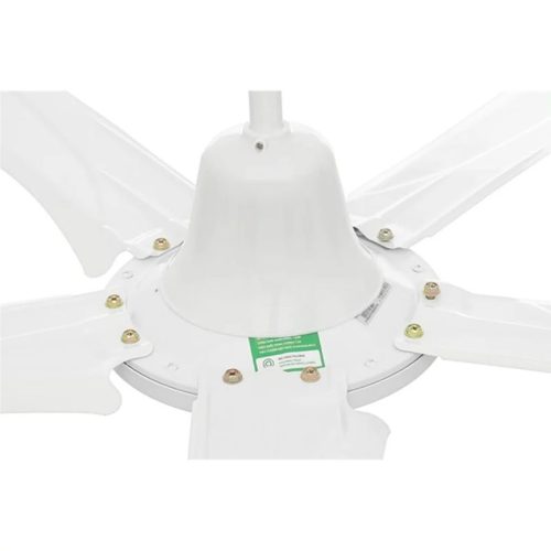 Ảnh quạt trần Rapido RCF-5W