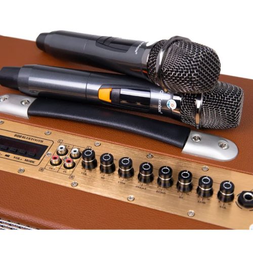 Micro Loa Karaoke Xách Tay Zenbos P-300