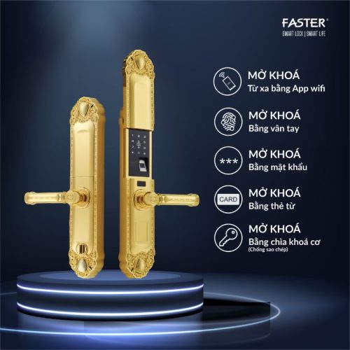 Ảnh khóa thông minh Faster FS039-1-24K