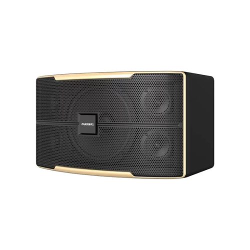 Ảnh loa Karaoke 10 Inches Paramax Z-1500