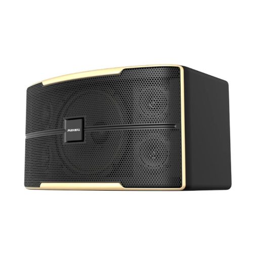 Ảnh Loa Karaoke 12 Inches Paramax Z-2500