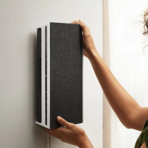 Ảnh Thực Tế Loa Bluetooth B&O Beosound Level Natural