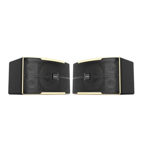 Loa Karaoke 10 Inches Paramax Z-1500