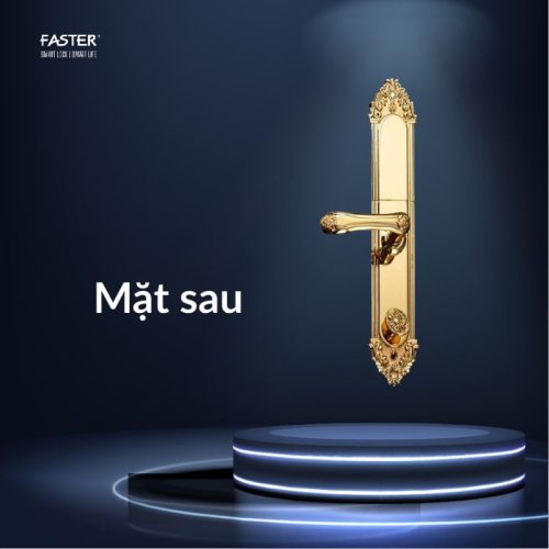 Mặt sau khóa thông minh Faster FS019-24K