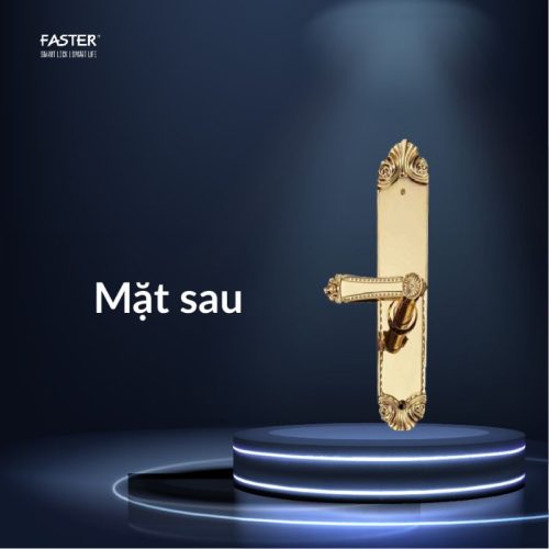 Mặt sau khóa thông minh Faster FS119-24K
