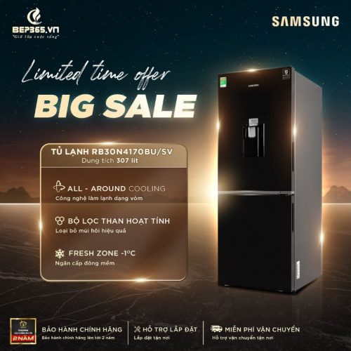 Big Sale Tủ Lạnh 2 cánh Inverter 307 Lít Samsung RB30N4170BU