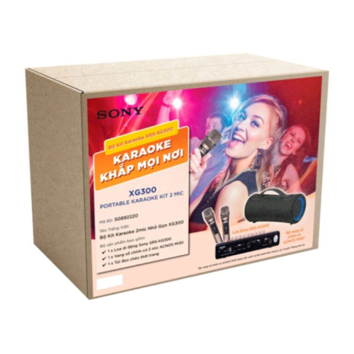 Ảnh Loa Sony XG300 Portable Karaoke Kit 2 mic