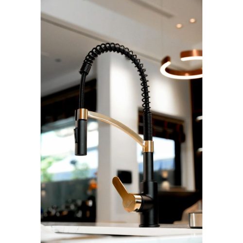 Ảnh vòi rửa bát Wasserwerk WK 3 black/matt gold, with spiral spring 700558
