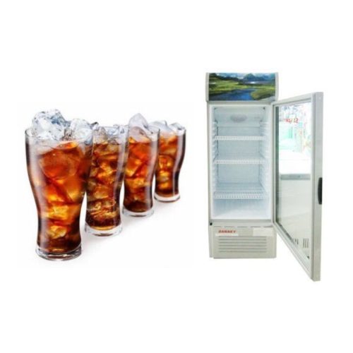 Cánh tủ mát Sanaky 240 lít VH308KL