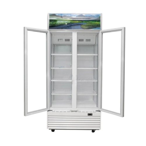 Cánh tủ mát Sanaky VH8009HP