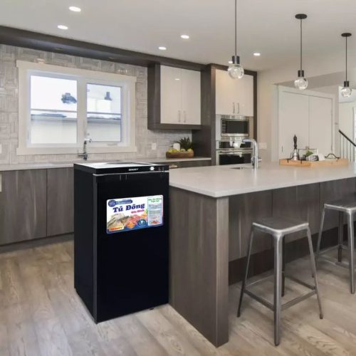 Hình Ảnh Tủ đông đứng Sanaky VH160K3 Inverter 118 lít