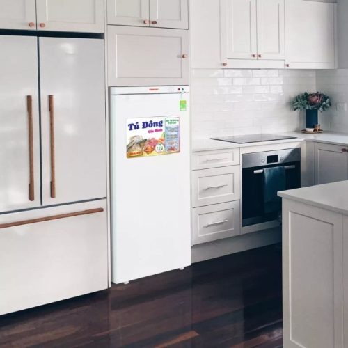 Hình Ảnh Tủ đông đứng Sanaky VH180VD 150 lít