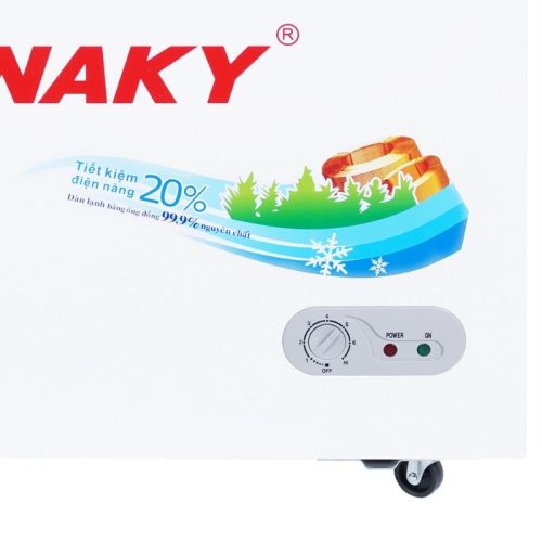 Hình Ảnh Tủ Đông SANAKY VH2599W2KD