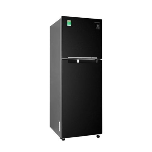 Hình Ảnh Tủ lạnh Samsung Inverter 236 lít RT22M4032BU/SV