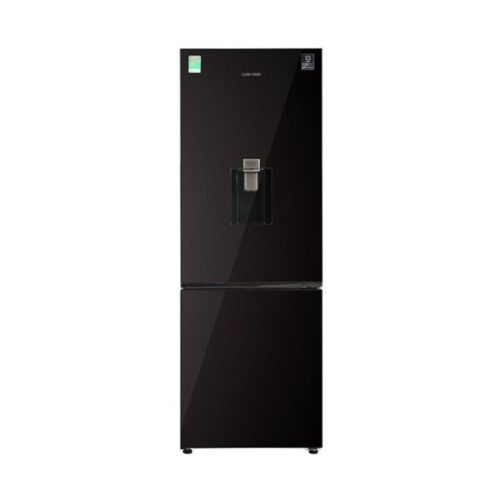 Tủ lạnh Samsung Inverter 307 lít RB30N4190BY/SV