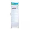 Tủ mát Sanaky VH258KL