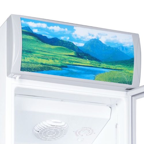 Ảnh Tủ mát Sanaky VH258KL