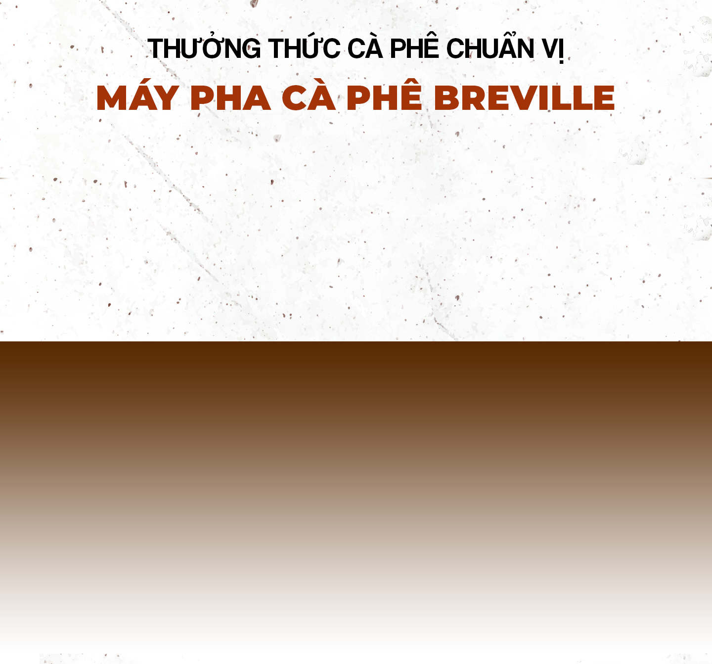 landing page pha ca phe 10