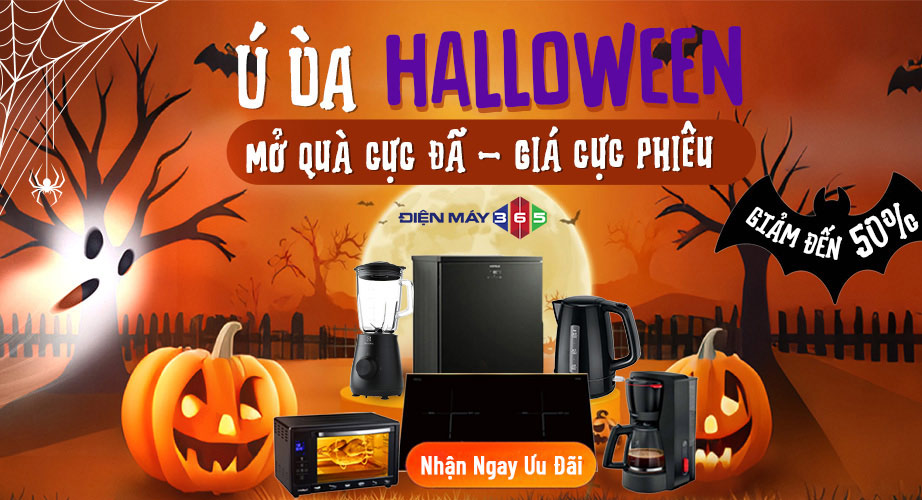 Trang chủ 31 ngoai