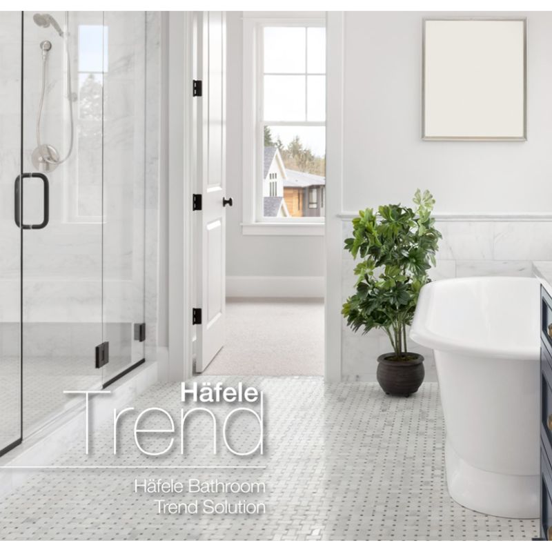 Ảnh tay nắm phòng tắm kính Hafele 903.12.371