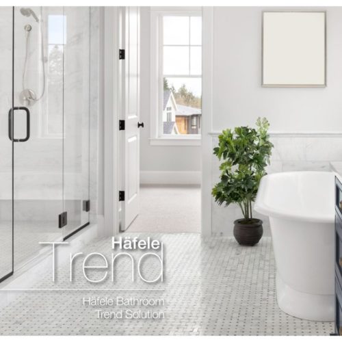 Tay nắm phòng tắm kính 500mm Hafele 903.12.373 6 Ảnh tay nắm phòng tắm kính 500mm Hafele 903.12.373